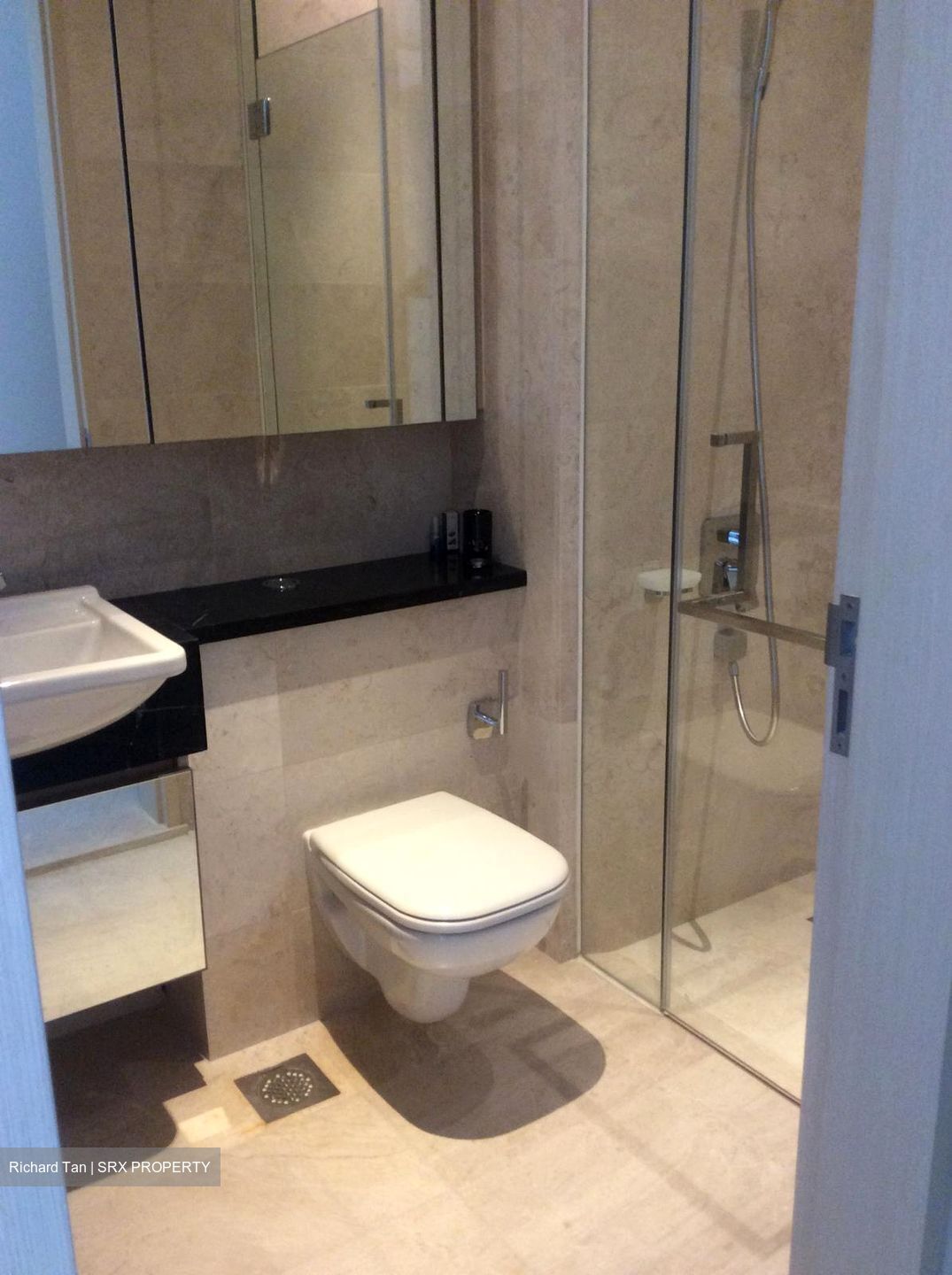 The Boutiq (D9), Apartment #545241161